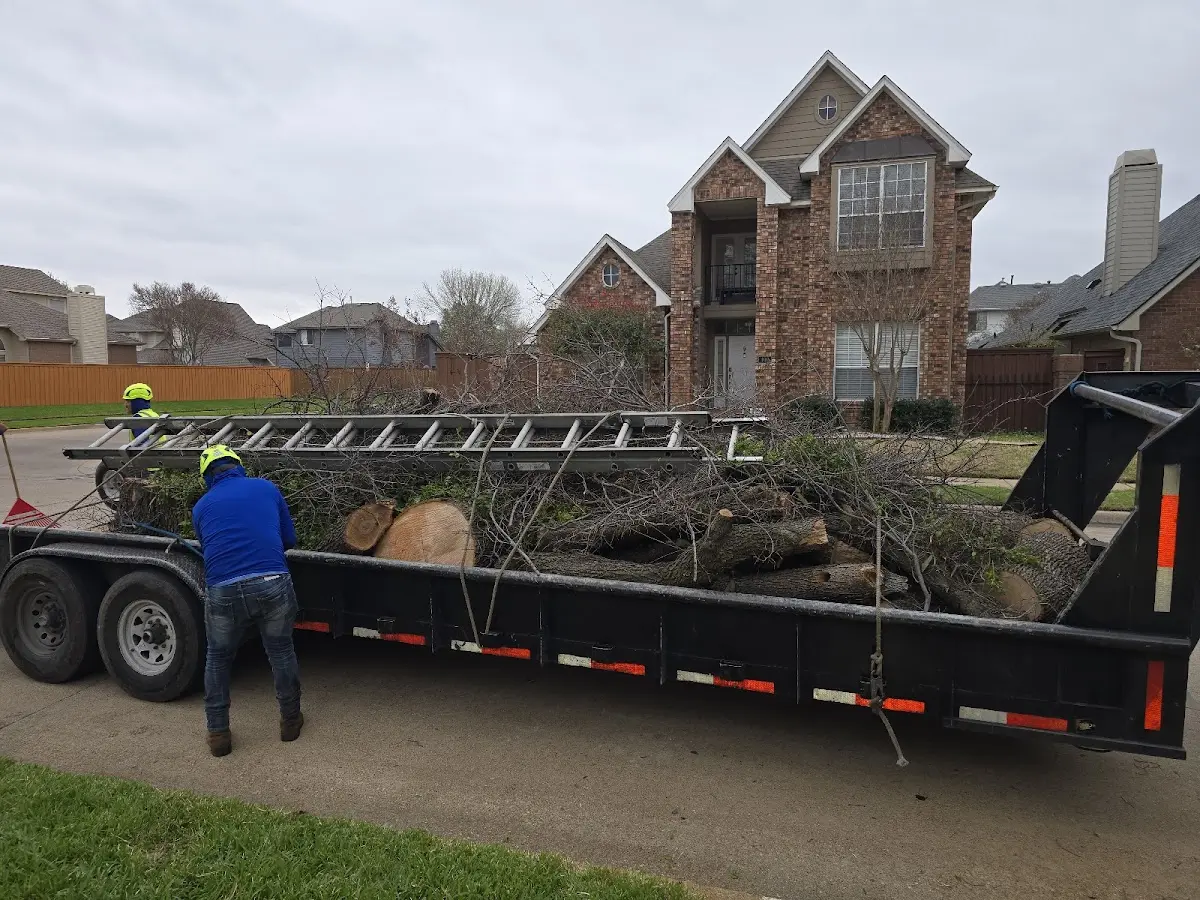 Expert Tree Removal with proper safety equipment in Armstrong